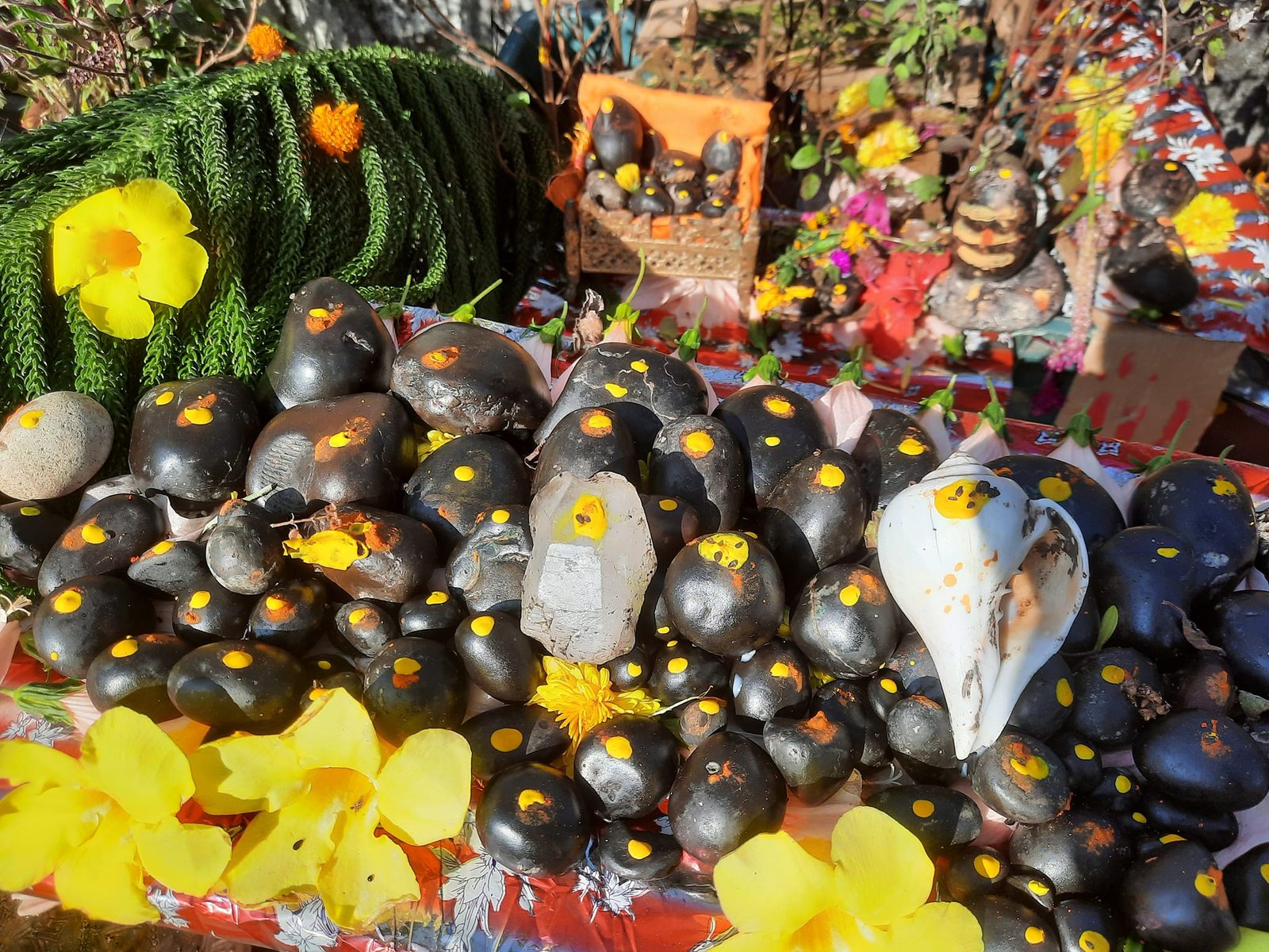 Shaligram shilas with haldi and kumkum